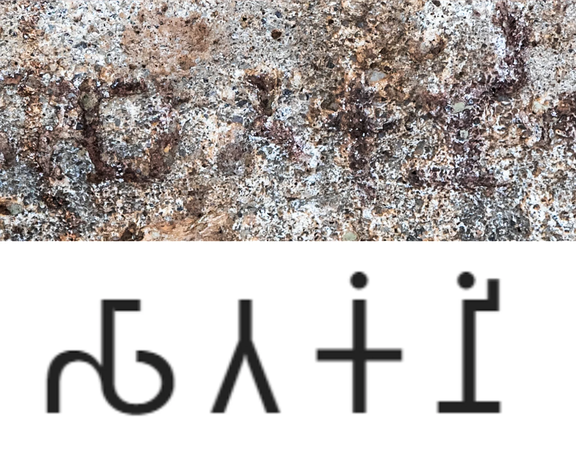 Detail showing the mention of Satakani in the inscription