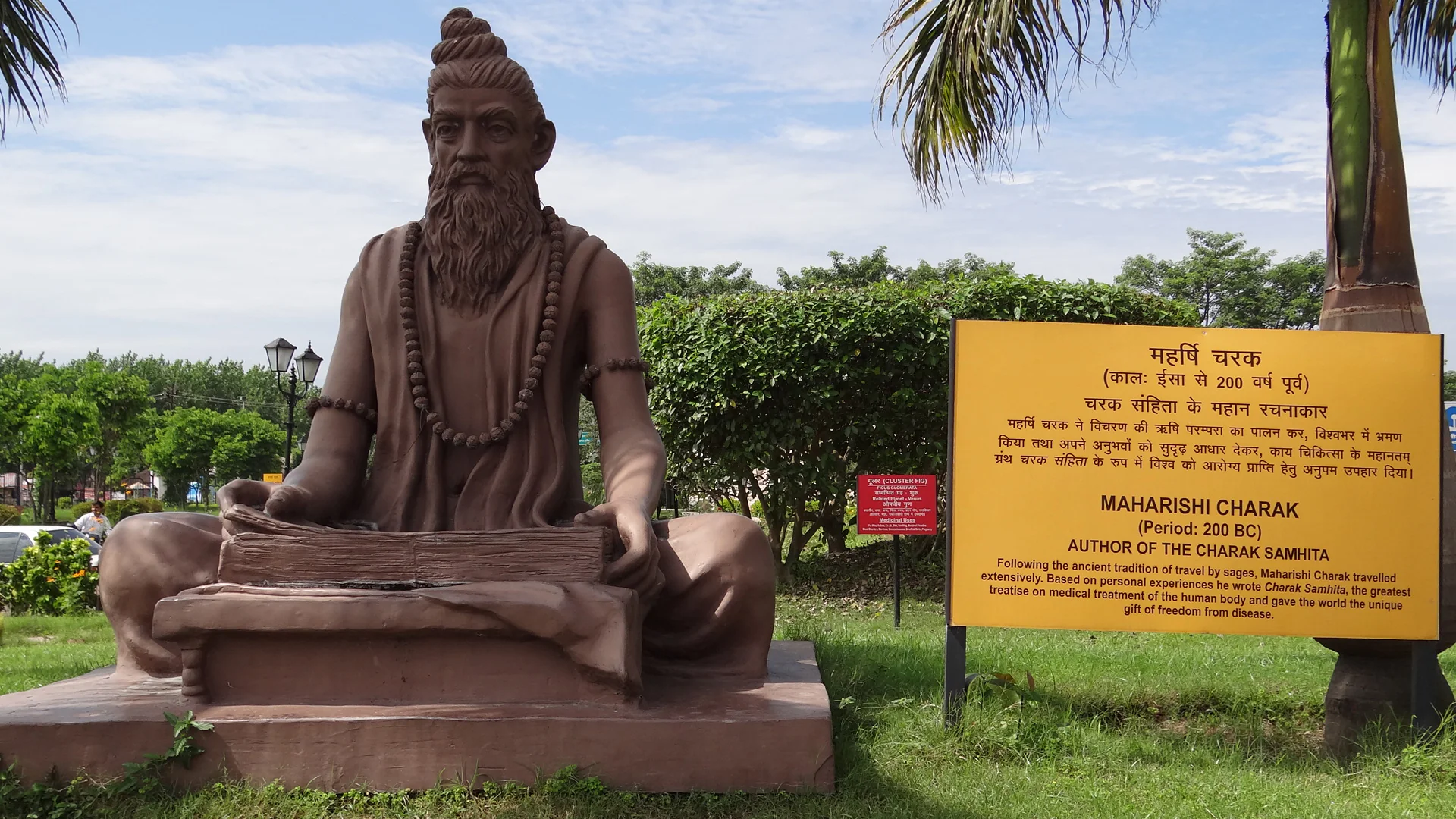 Depiction of Charaka, ancient Ayurvedic physician