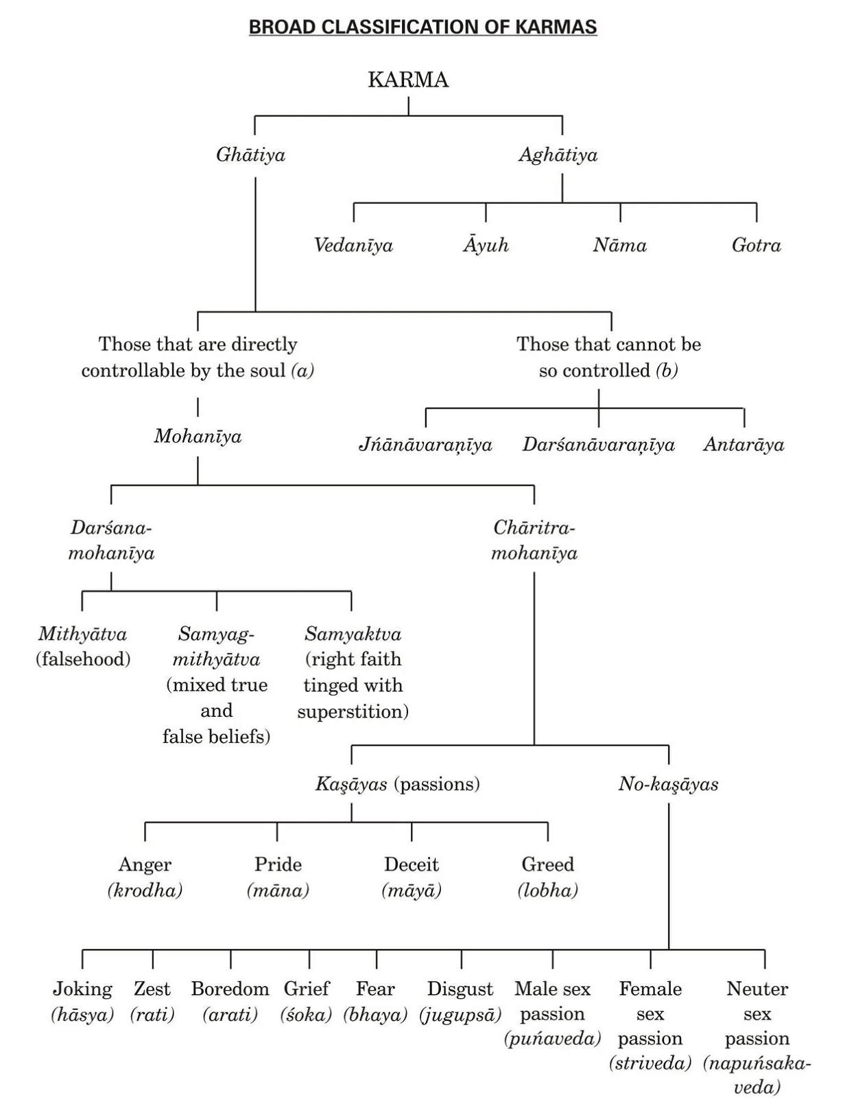 Diagram showing different types of karma in Jain philosophy