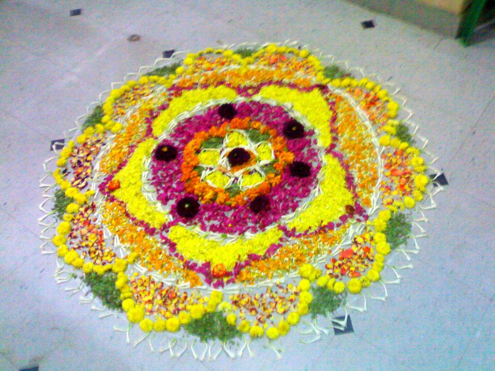 Pookalam made with flower petals for Onam festival
