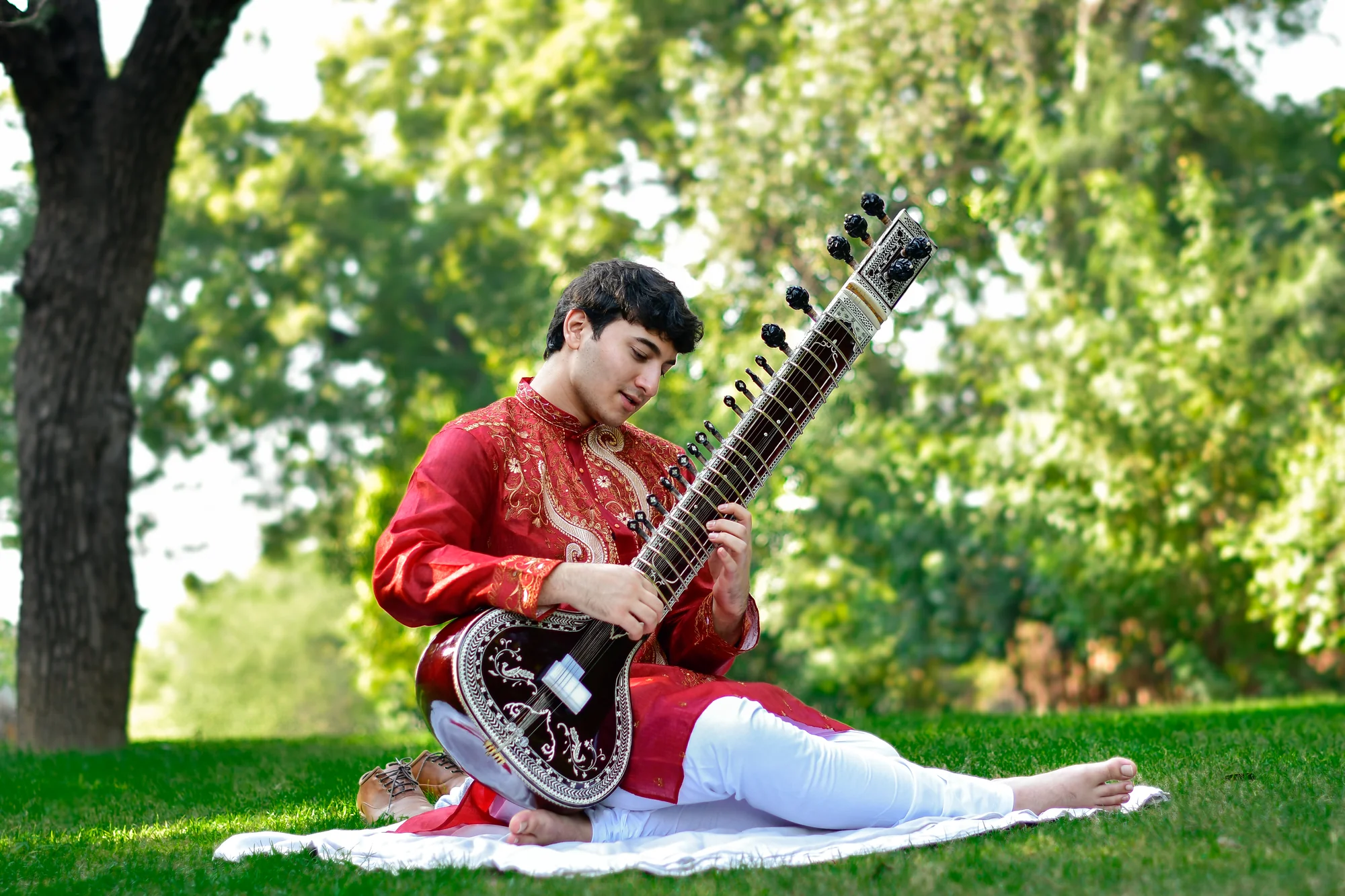 Contemporary Hindustani classical musician Rishab Rikhiram Sharma
