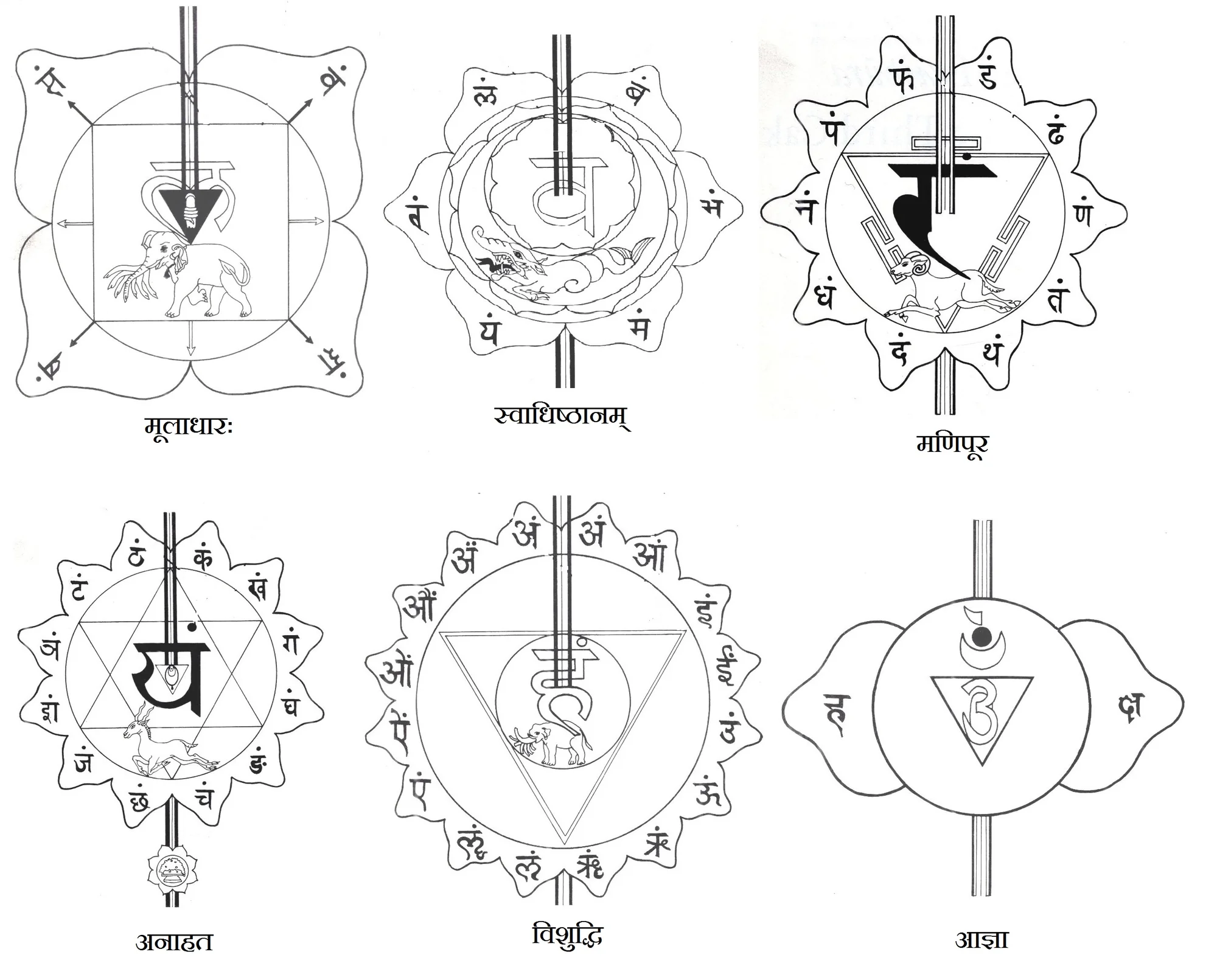 Diagram of seven chakras in human body