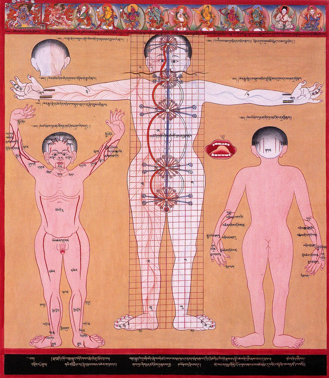 Illustration of chakras and nadis energy channels