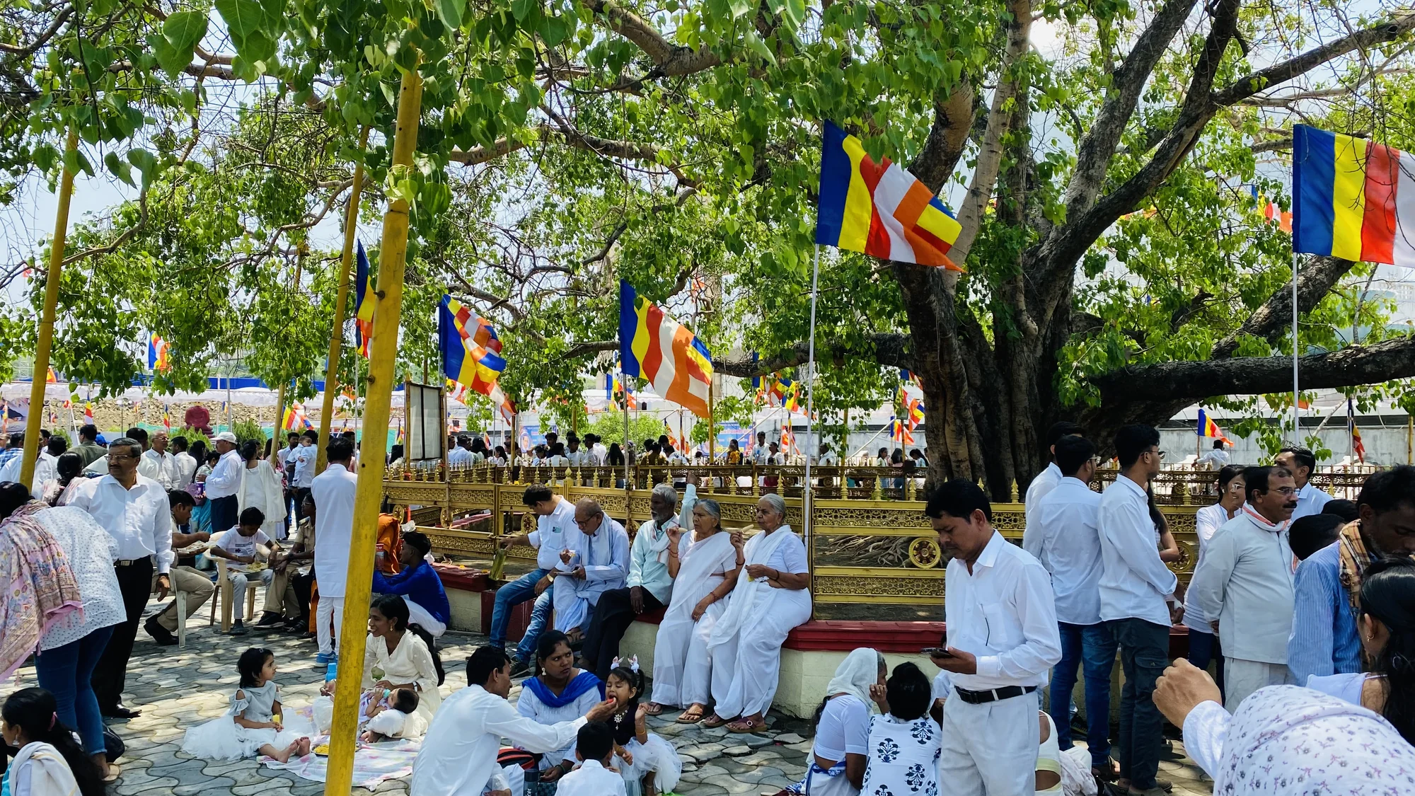 Meditation under a descendant Bodhi Tree at Deekshabhoomi