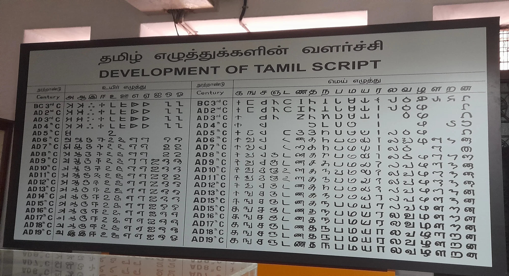 Museum display showing Tamil script development