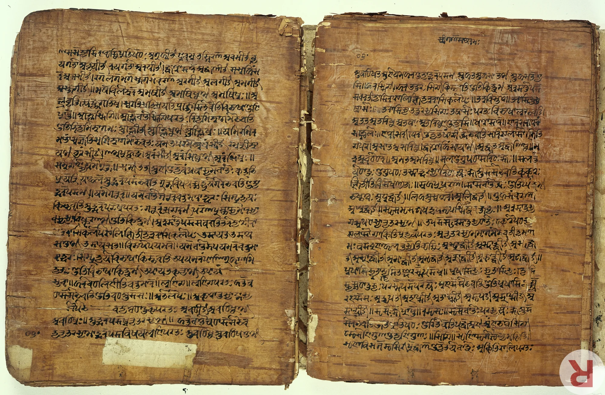 Ancient birch bark manuscript from Kashmir containing Sanskrit text