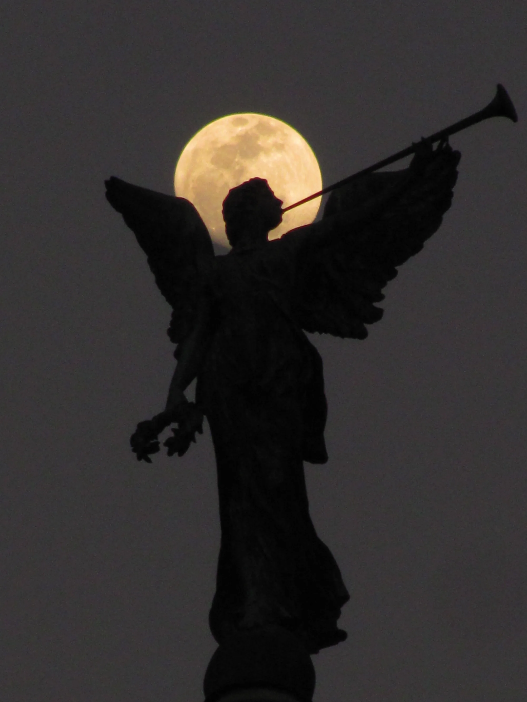 Victoria Memorial illuminated at dusk