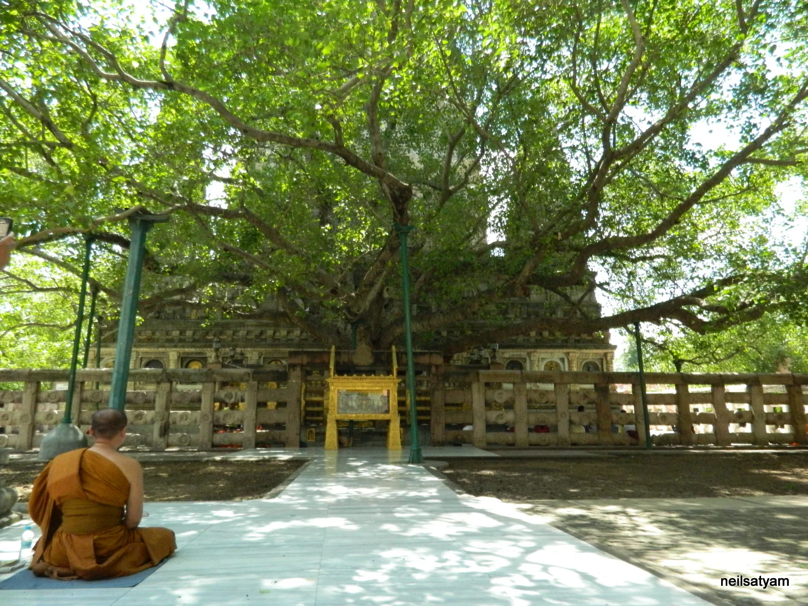 Distant view of the Bodhi Tree and Mahabodhi Temple complex