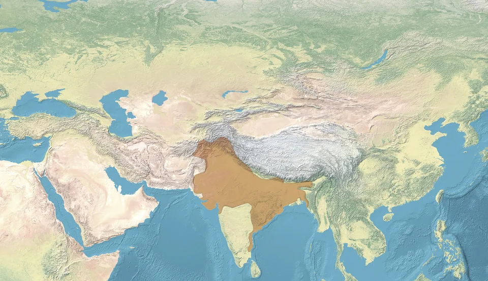 Gupta Empire at its Zenith (circa 400-450 CE)