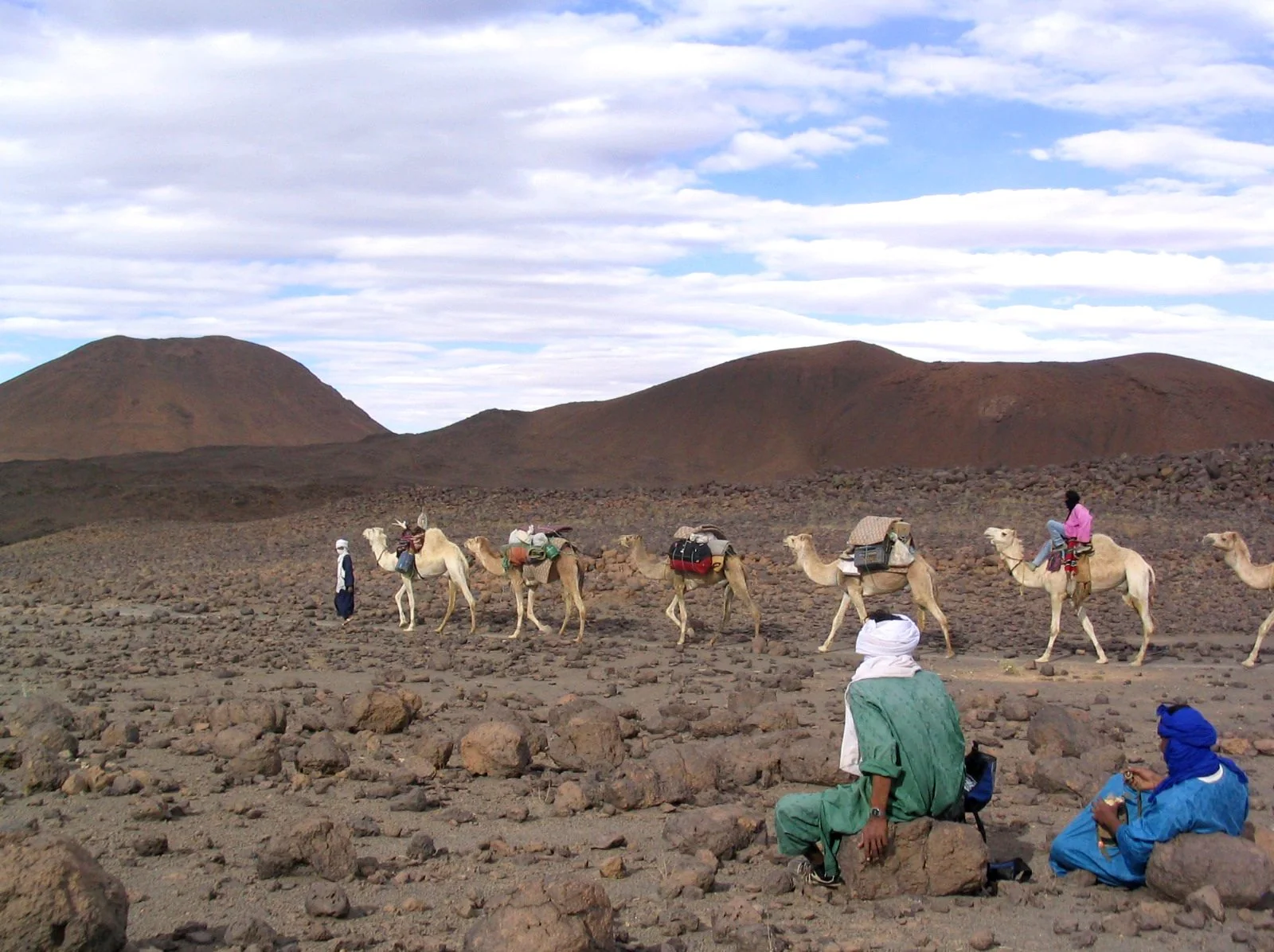 Modern camel caravan in the Hoggar region