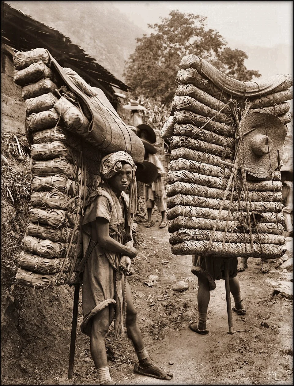 Men carrying tea in Sichuan Province, 1908